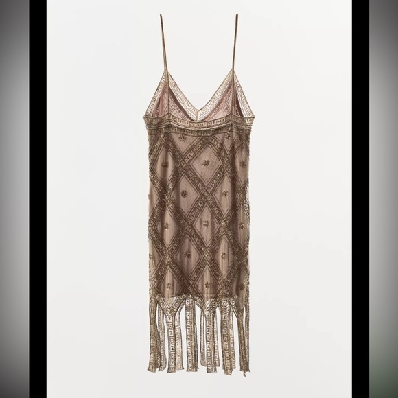Zara limited edition EMBROIDERED TULLE Mini DRESS - Picture 7 of 15